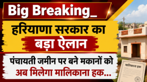Haryana News